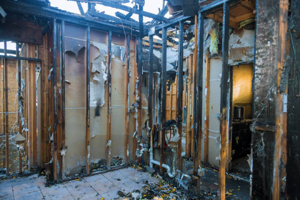 Professional Fire Damage Removal technician working in Bridge City, LA